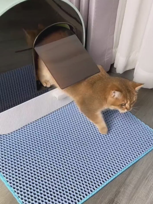 Katzenstreu Auffangmatte