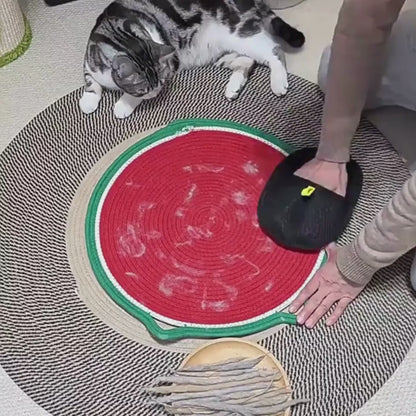 Haustier-Haarentferner Handschuh 1+1🎁