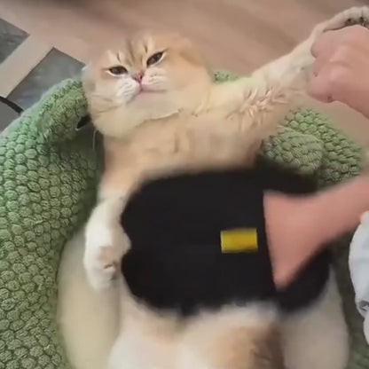 Haustier-Haarentferner Handschuh 1+1🎁